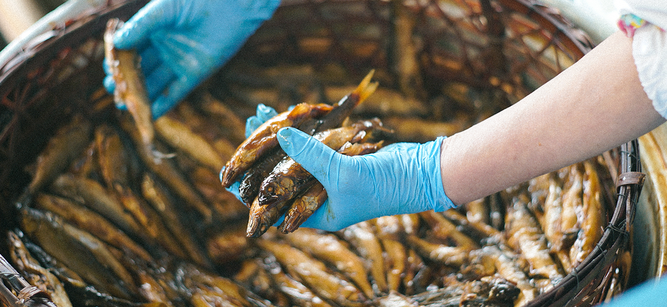 野州 喜連川の天然仕立て 煮鮎