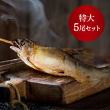 鮎 炭火焼き 5尾 鮎の特製塩焼き